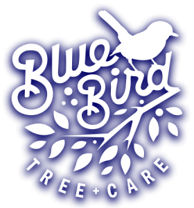 Bluebird Tree Care Logo