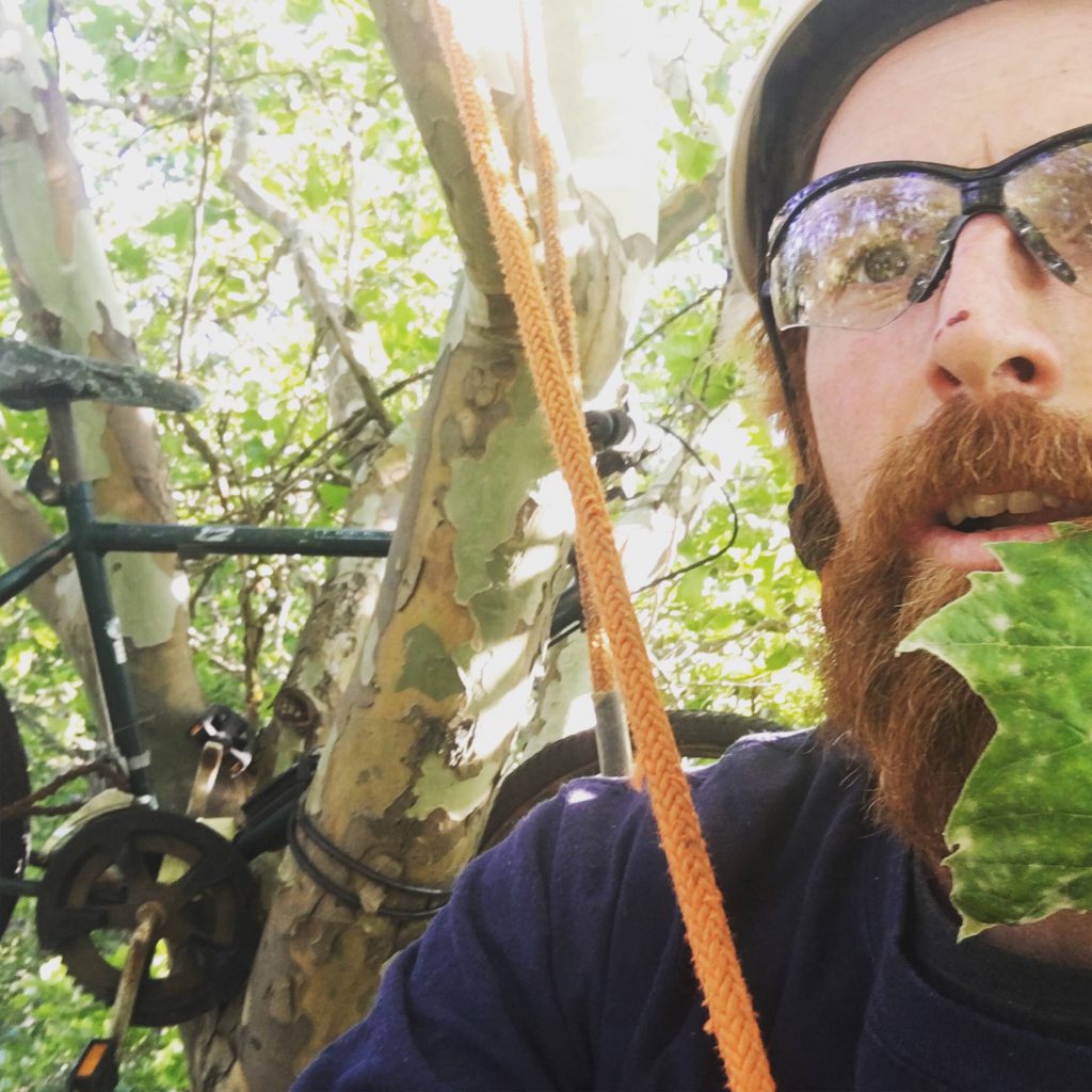 Ben Larson, a man with a red beard wearing a helmet and safety glasses, is in a tree. Rigging ropes are visible around him.