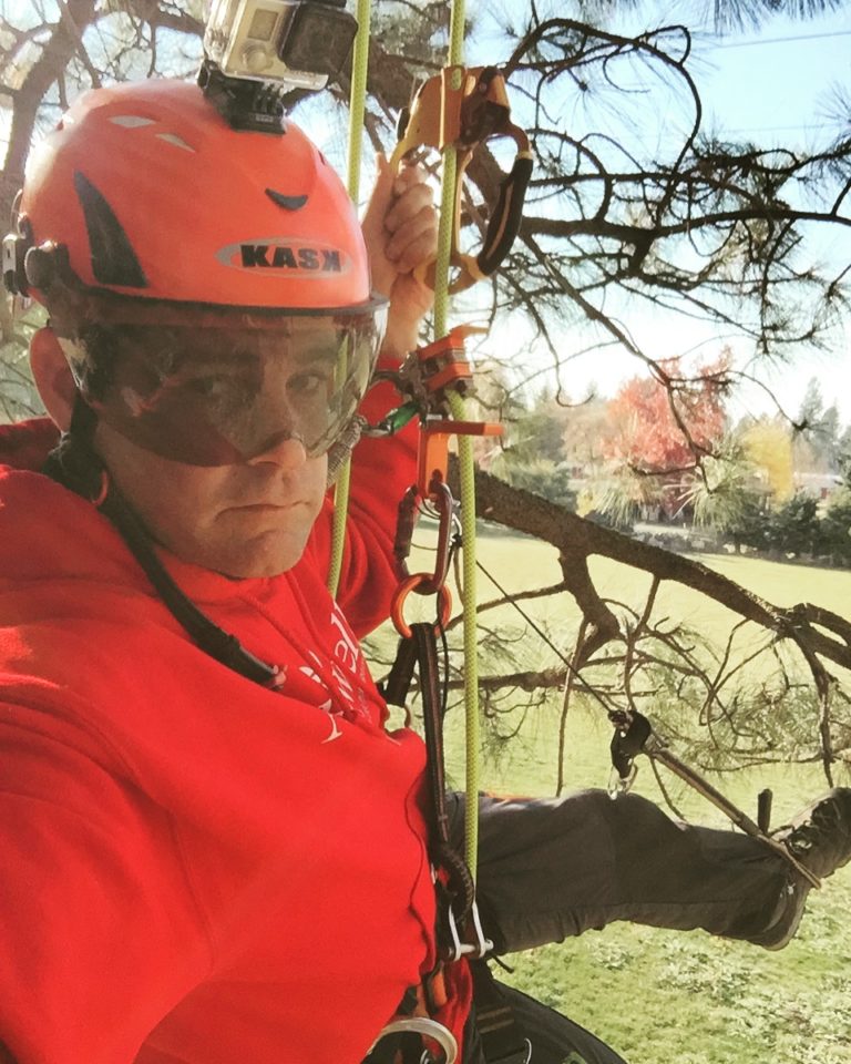 Sean Price, a man wearing a helmet and safety glasses, is suspended in a tree, wearing a harness and rigging ropes.